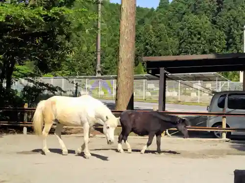 丹生川上神社（下社）(奈良県)