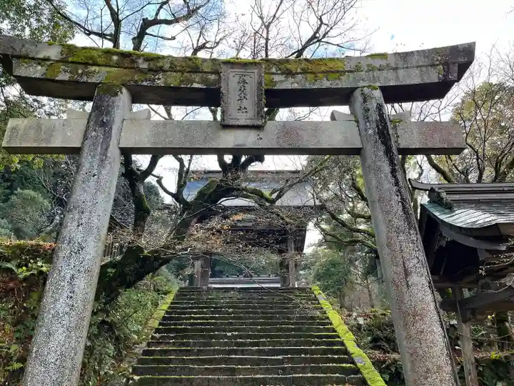 養父神社(兵庫県)