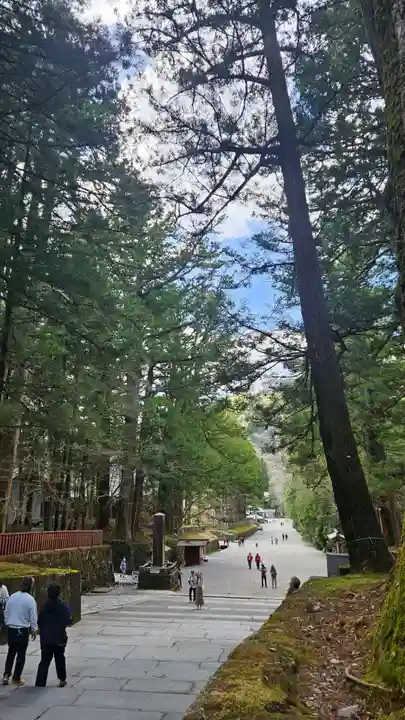 日光東照宮(栃木県)