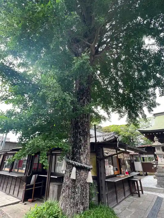 菊田神社(千葉県)