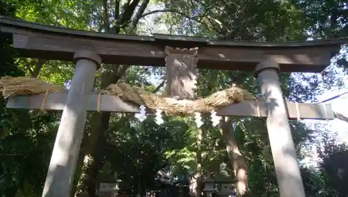 日枝神社の鳥居