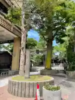 亀岡八幡宮(亀岡八幡神社)(神奈川県)