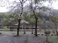 白龍神社(福井県)