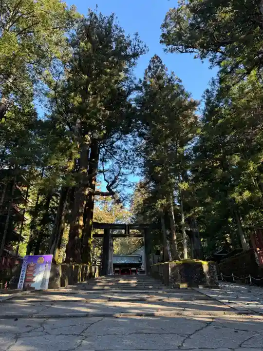 日光東照宮の{uncategorized: "未分類", other: "その他", undefined: "問題あり", building: "その他建物", grave: "お墓", sacred_gate: "鳥居", guardian: "狛犬", statue: "像", buddha: "仏像", history: "歴史", nature: "自然", garden: "庭園", animal: "動物", pagoda: "塔", temizu: "手水舎", mountain_gate: "山門・神門", sanctuary: "本殿・本堂", subordinate: "末社・摂社", art: "芸術", scenery: "景色", jizo: "地蔵", ema: "絵馬", goshuin: "御朱印", omikuji: "おみくじ", items: "授与品その他", amulet: "お守り", goshuincho: "御朱印帳", eats: "食事", festival: "お祭り", votive_dance: "神楽", shichigosan: "七五三参", wedding: "結婚式", experience: "体験その他", initially: "初詣", around: "周辺", anti_infection: "感染症対策"}
