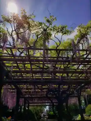 愛染院(東京都)