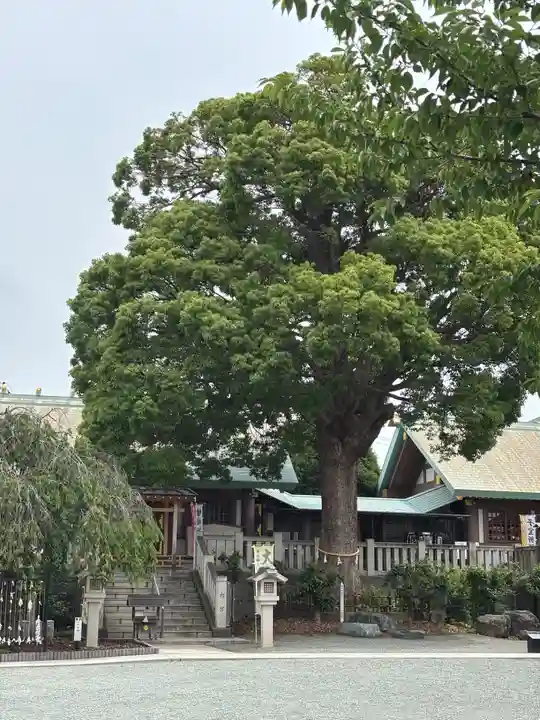 伊勢原大神宮(神奈川県)