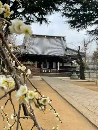 寛永寺(根本中堂)の本殿・本堂