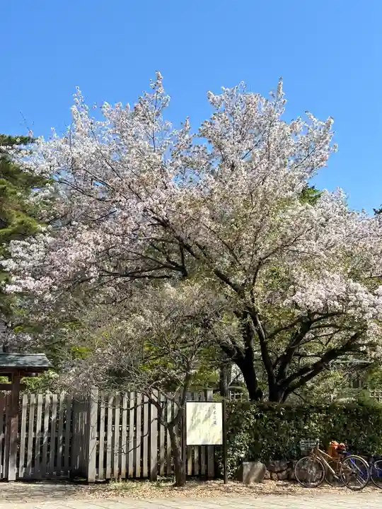 武蔵一宮氷川神社の自然