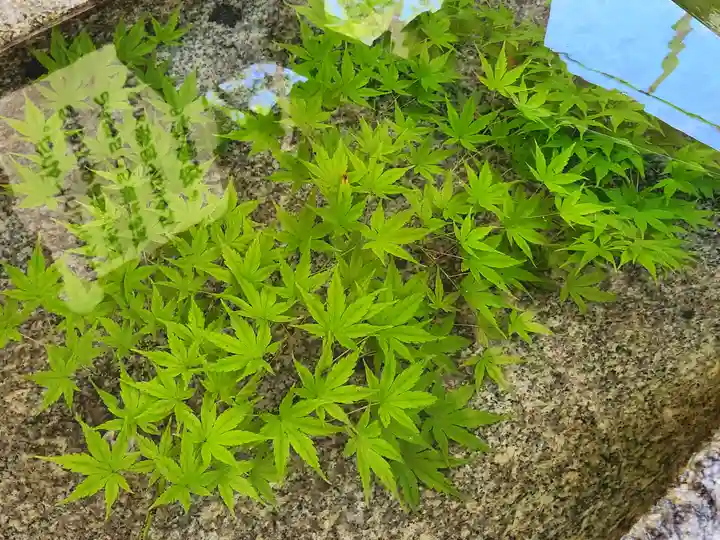 破磐神社の手水舎