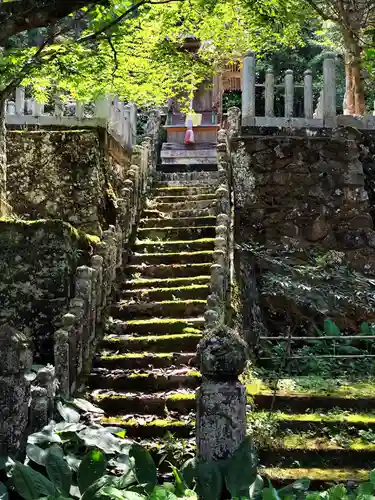 金剛城寺(兵庫県)