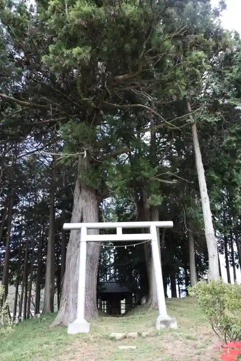 九万八千神社(埼玉県)