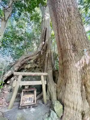 事任八幡宮(静岡県)