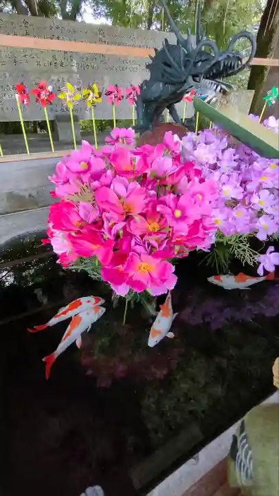 國分八幡宮の手水舎