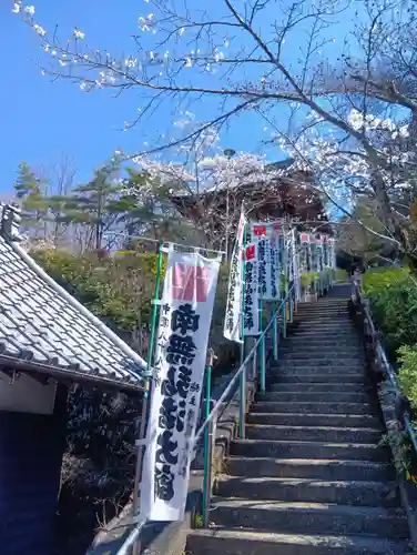 関善光寺の庭園