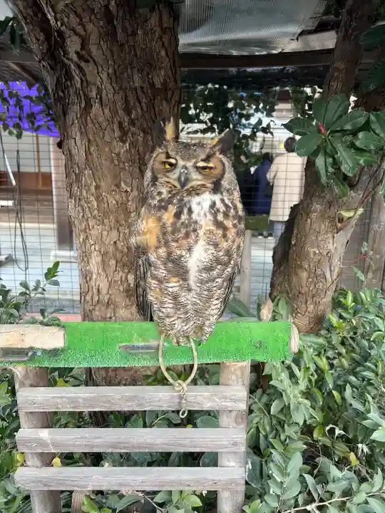 宮地嶽神社(福岡県)
