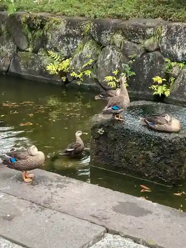 西新井大師総持寺(東京都)