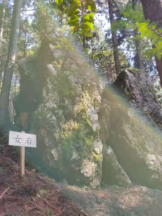 戸隠神社の自然
