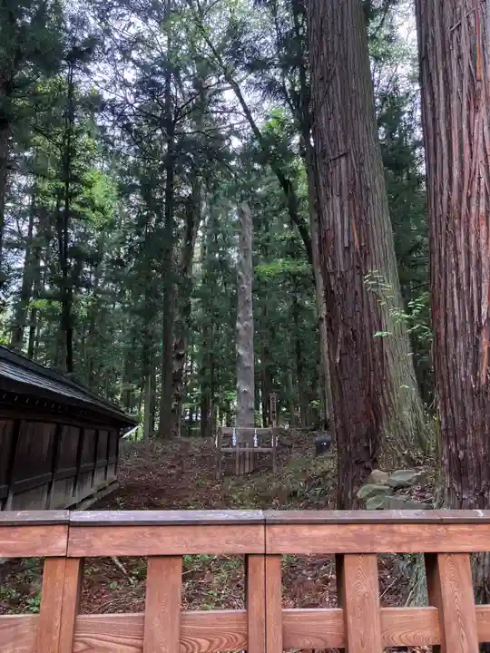 諏訪大社下社秋宮の自然