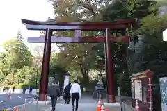 東郷神社の鳥居