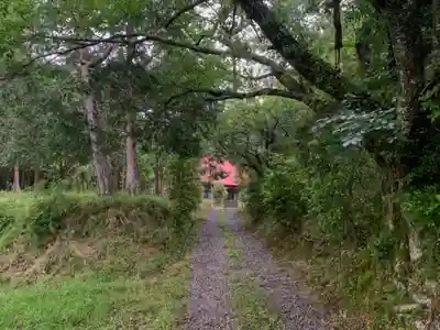 徳善寺(千葉県)