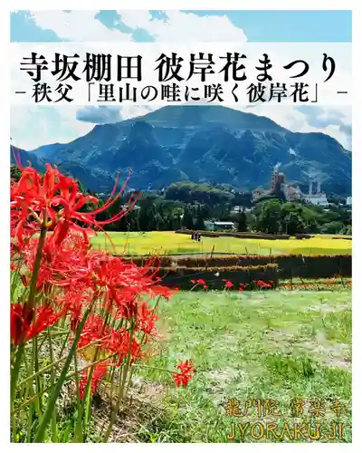 【公式】龍門院常楽寺（秩父札所十一番）(埼玉県)