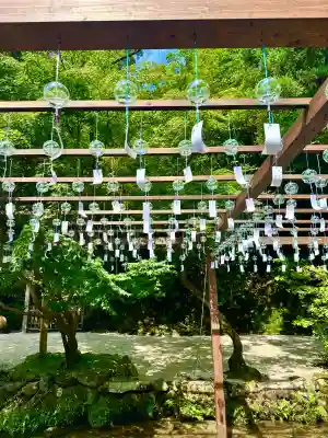 賀茂別雷神社（上賀茂神社）(京都府)