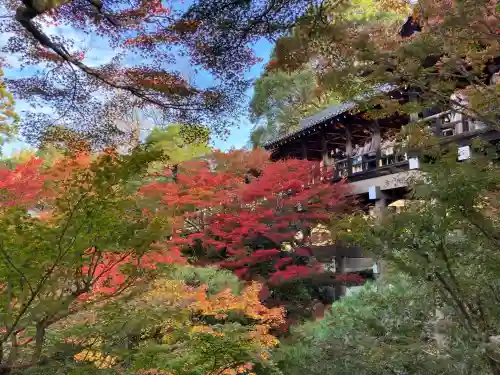 東福禅寺（東福寺）(京都府)