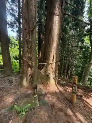 大山祇神社(福島県)