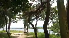 若宮神明社の鳥居