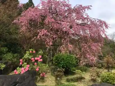 當麻寺(奈良県)