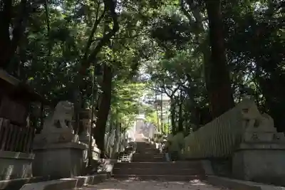 恩智神社(大阪府)