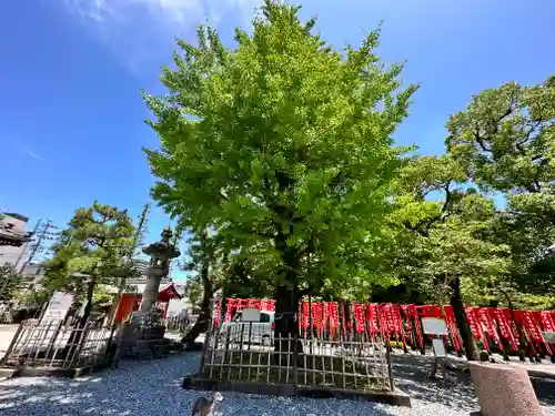 大垣八幡神社の建物その他