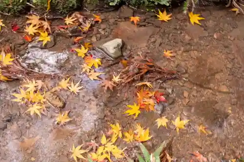 小國神社(静岡県)