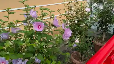 中山寺(兵庫県)