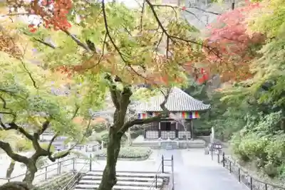 長谷寺のその他建物
