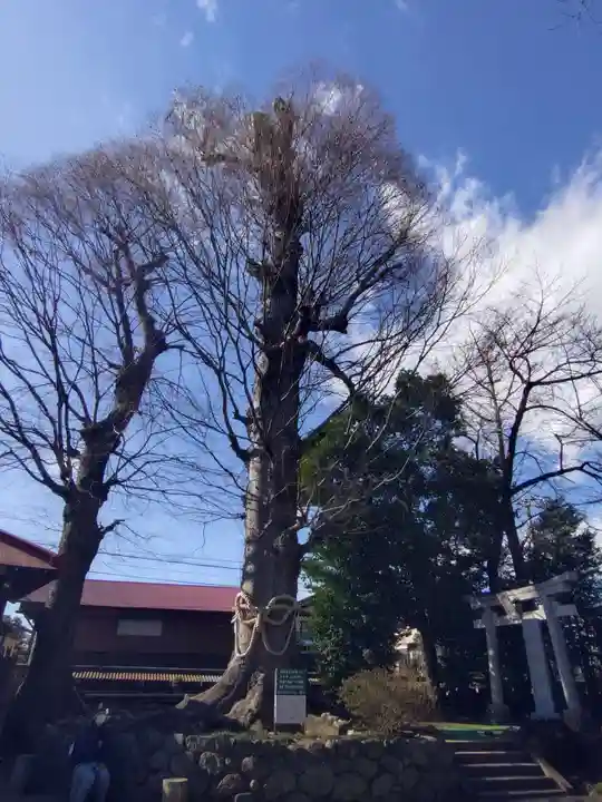 御嶽神社(神奈川県)