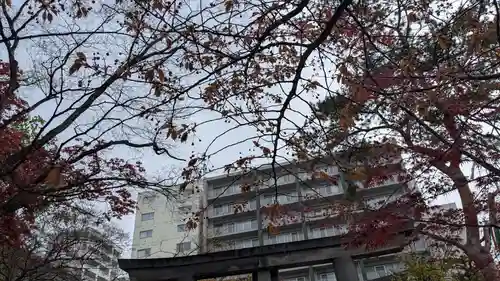 彌彦神社　(伊夜日子神社)の自然