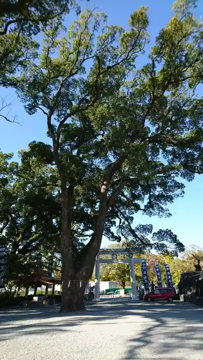 加藤神社の自然