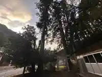 篠坂神社(鳥取県)