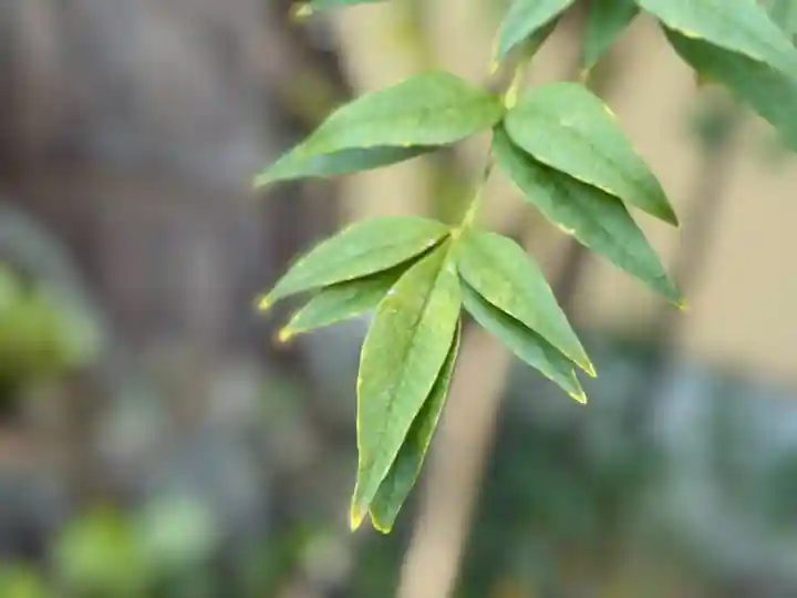 西方山極楽寺(岐阜県)