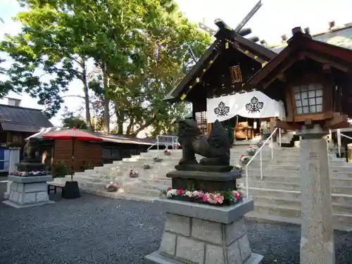 札幌諏訪神社の狛犬