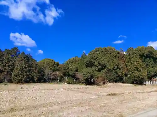 熊野神社の自然
