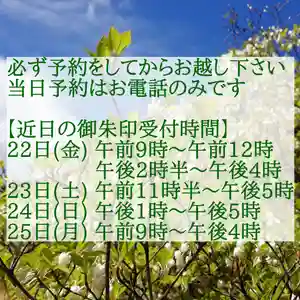 西方山極楽寺(岐阜県)(2019年11月21日(木) 19時41分56秒投稿)