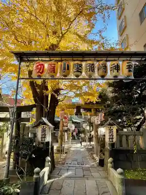 境内にはまだ銀杏が残っています。