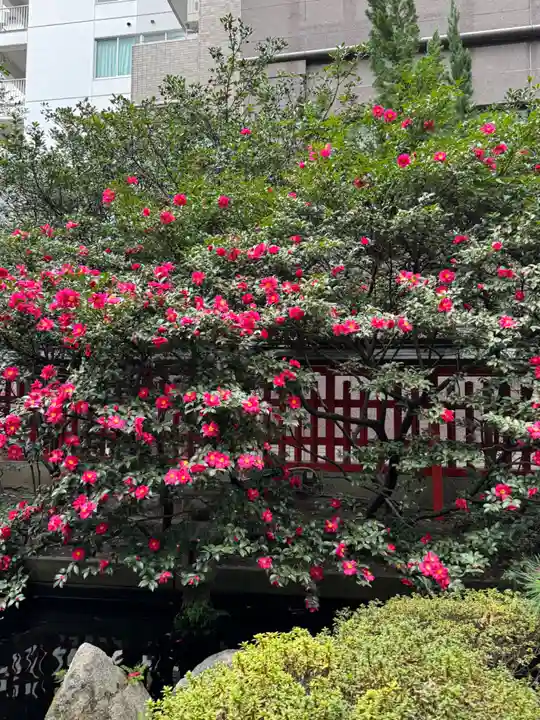 水鏡天満宮(福岡県)