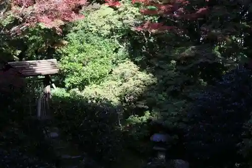 桂春院(京都府)