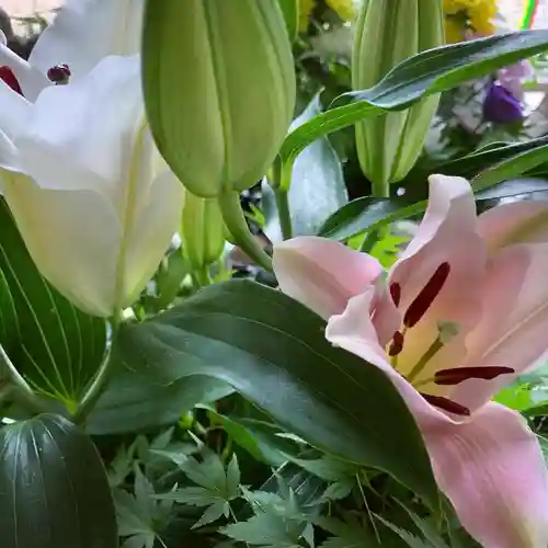 滑川神社 - 仕事と子どもの守り神の手水舎