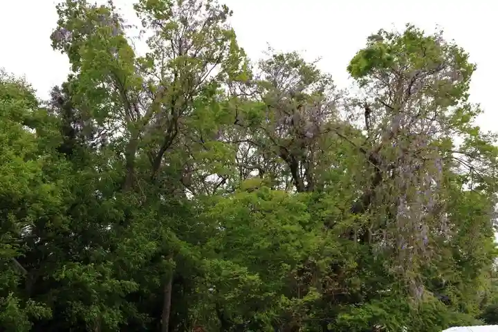 藤稲荷神社の景色