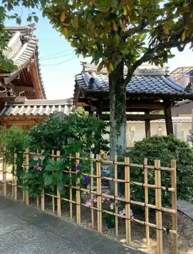 光念寺のその他建物
