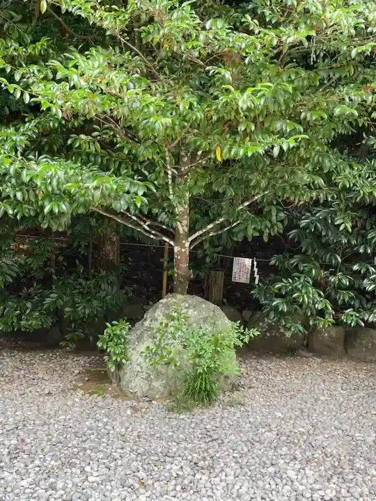 天河大辨財天社(奈良県)